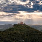 Burg Trifels, Pfalz