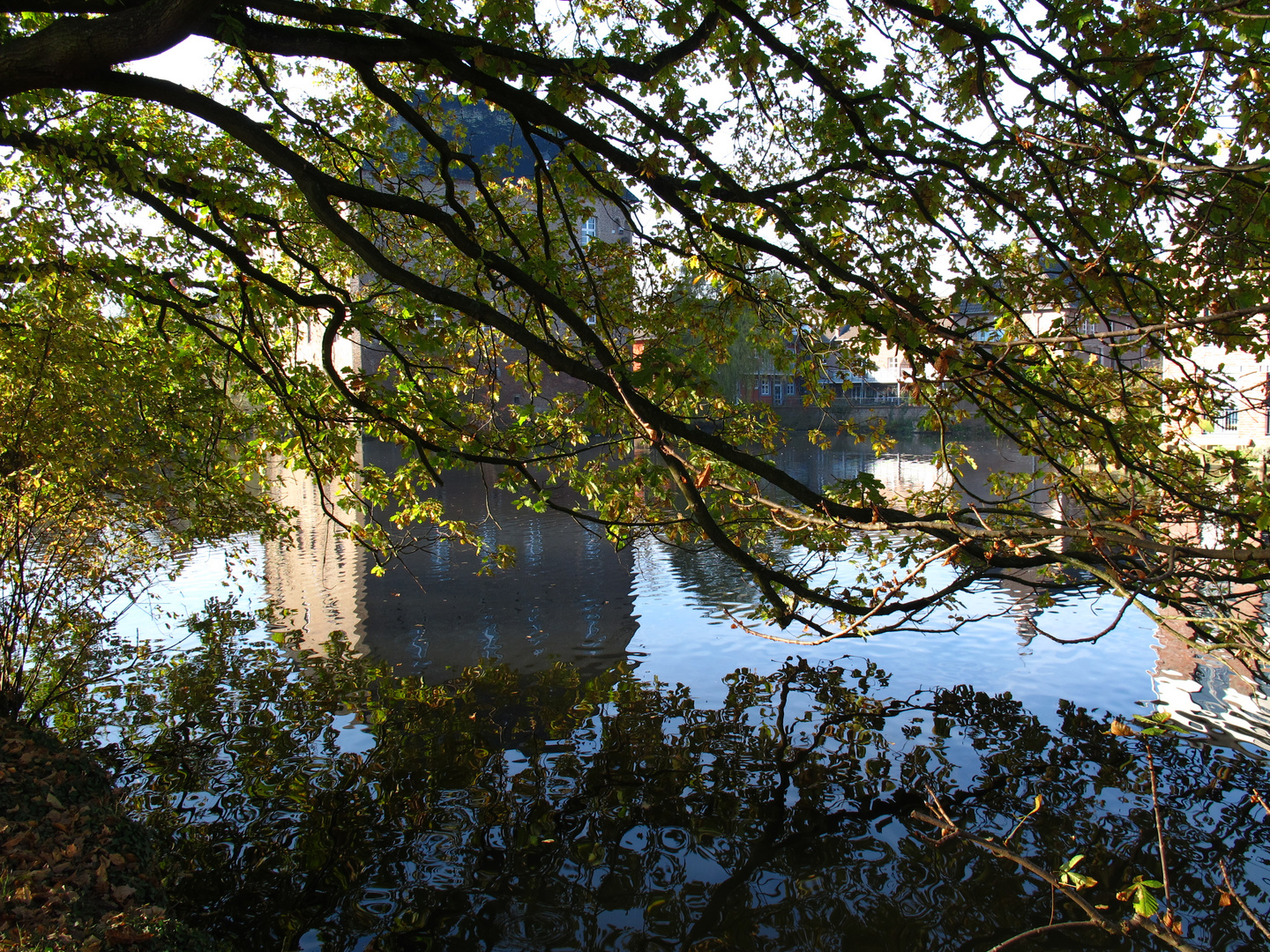 Burg Trips in Geilenkirchen