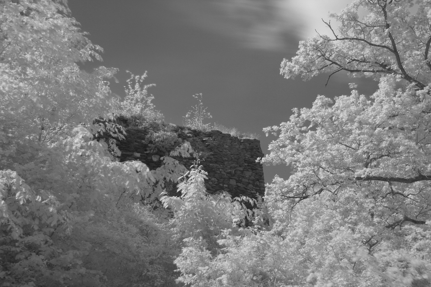 ..:: Burg Trutzeltz I ::..