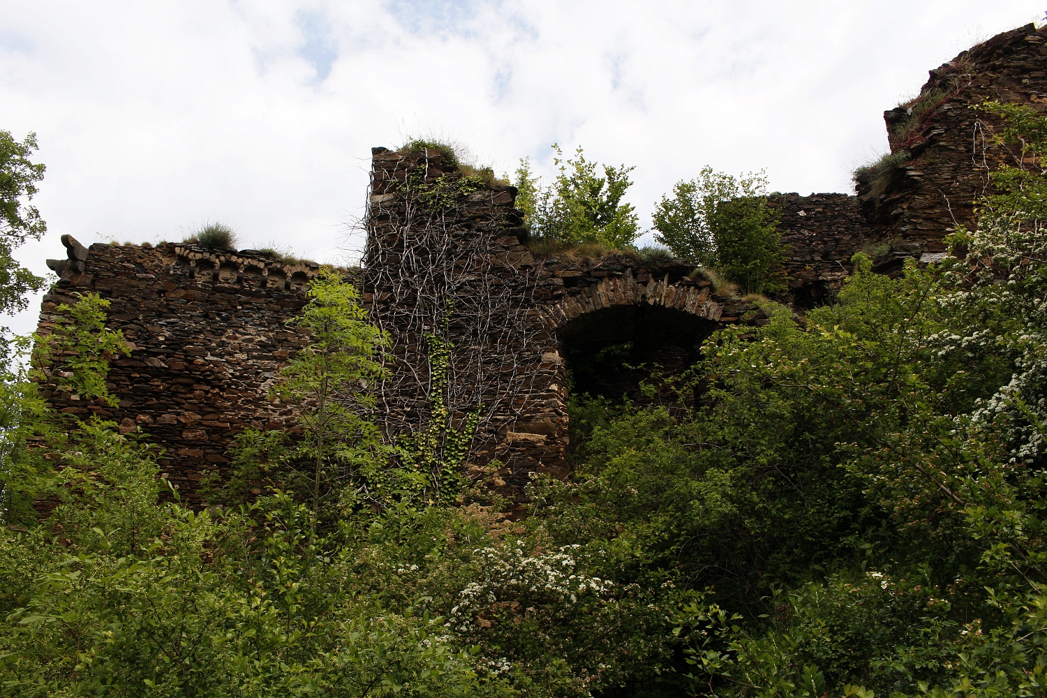 ..:: Burg Trutzeltz II ::..