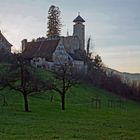 Burg über der Ermitage in Arlesheim CH