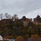 Burg über Saarburg