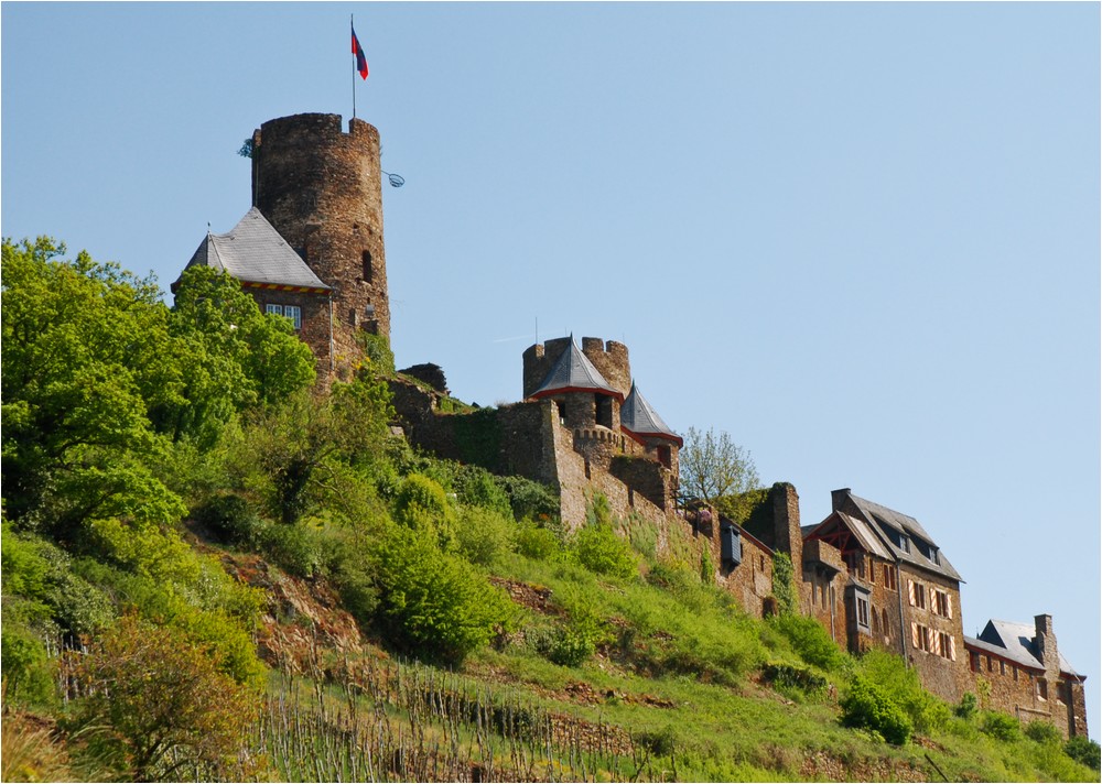 Burg überm Wingert