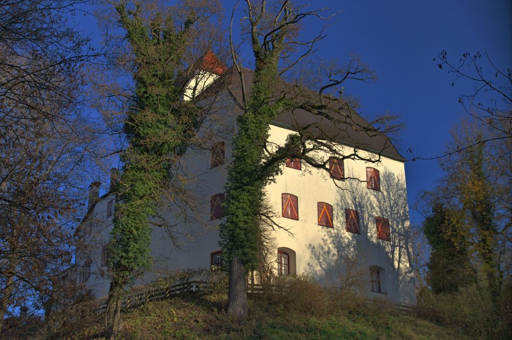 Burg und Bäume im grünen Wintermantel