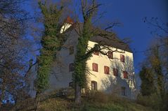 Burg und Bäume im grünen Wintermantel