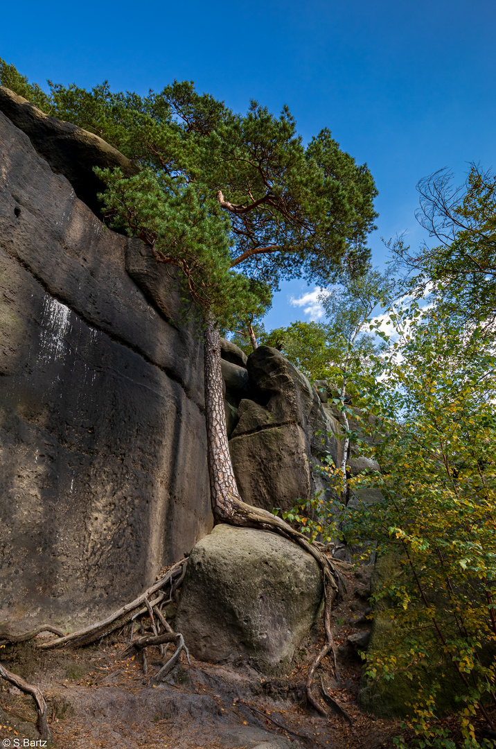 Burg und Kloster Oybin (2)