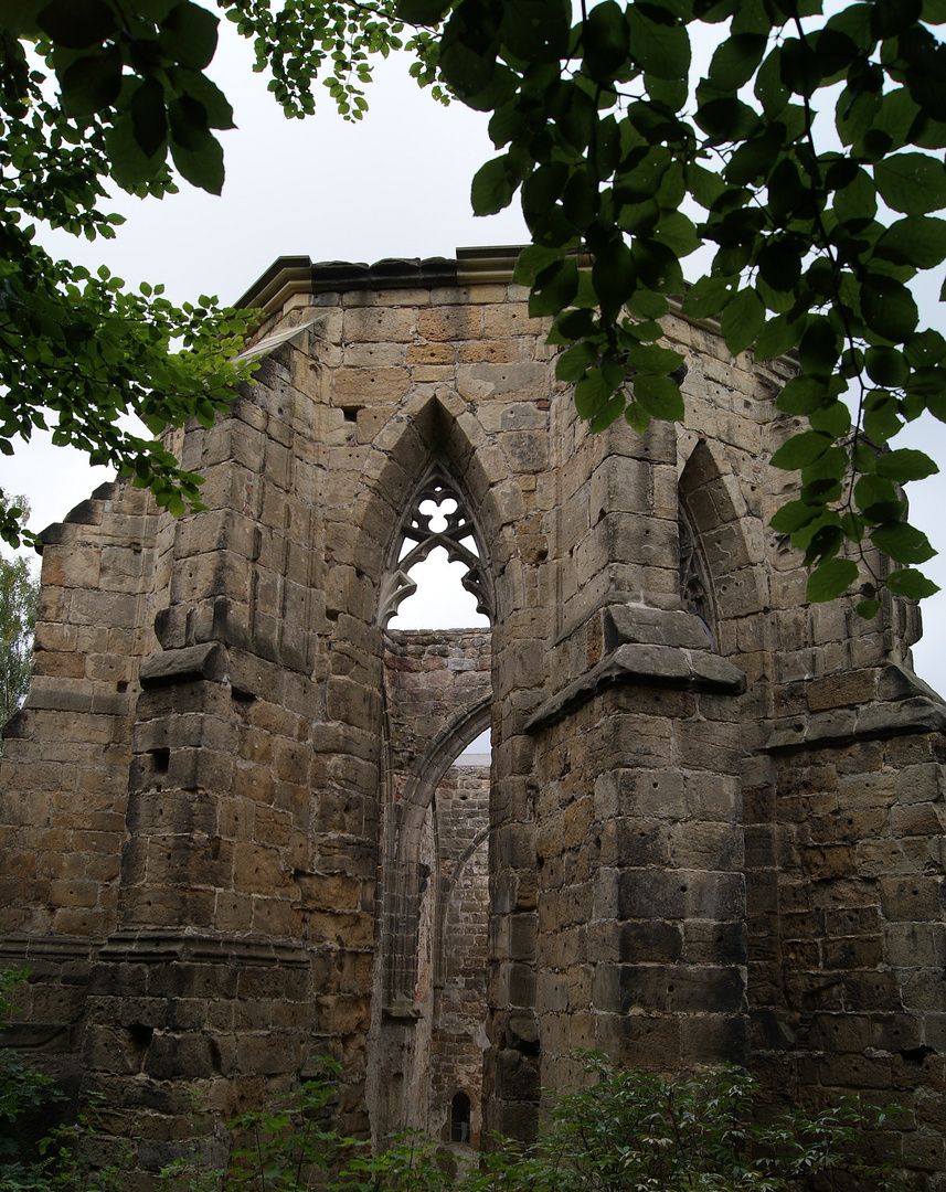 Burg und Kloster Oybin (5)