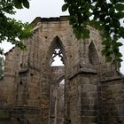 Burg und Kloster Oybin (5)