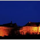 :.: Burg und Schloss Allstedt :.: