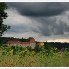 Burg und Sonnenblumen