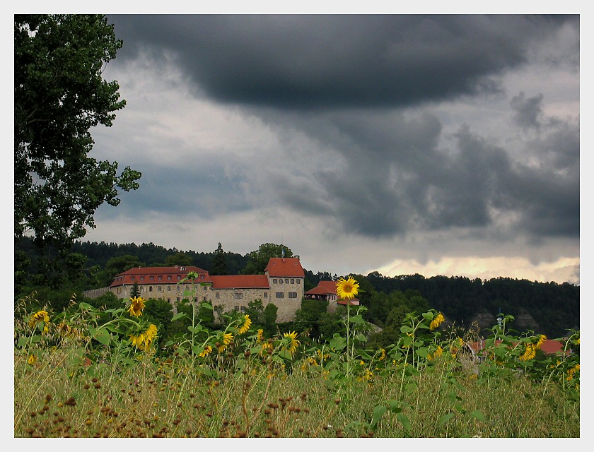 Burg und Sonnenblumen