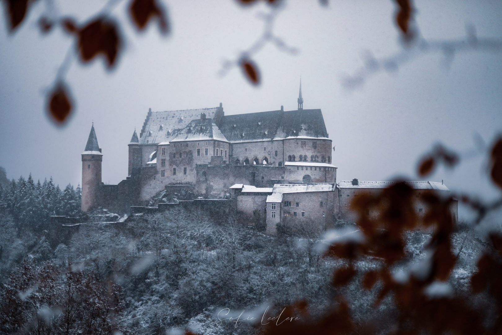 Burg Vianden 