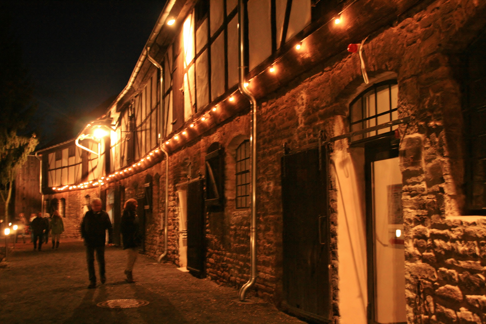 Burg Vienenburg