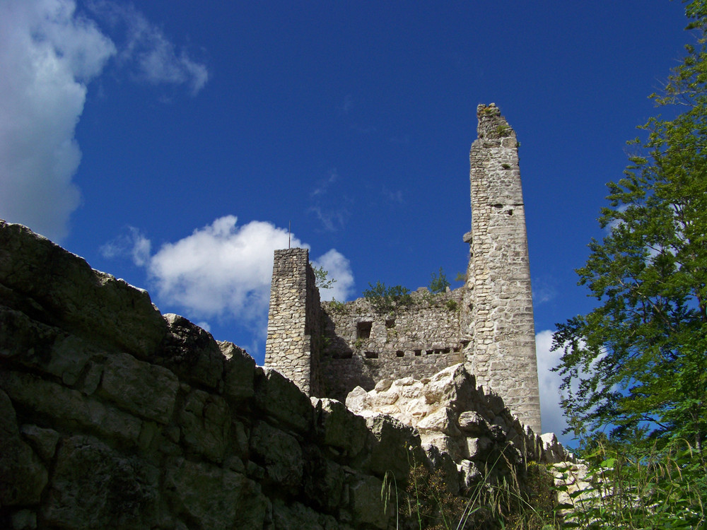 Burg Vilseg