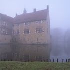  Burg Vischering im Nebel