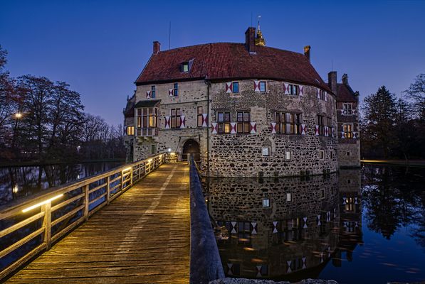Burg Vischering im Winter #5