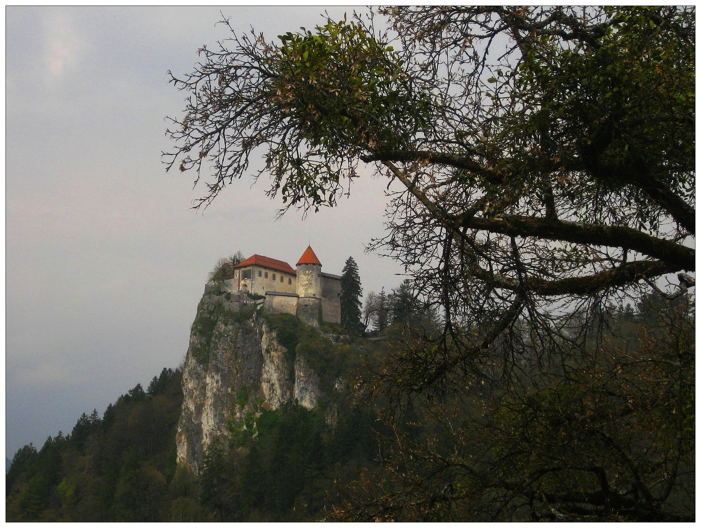 Burg von Bled