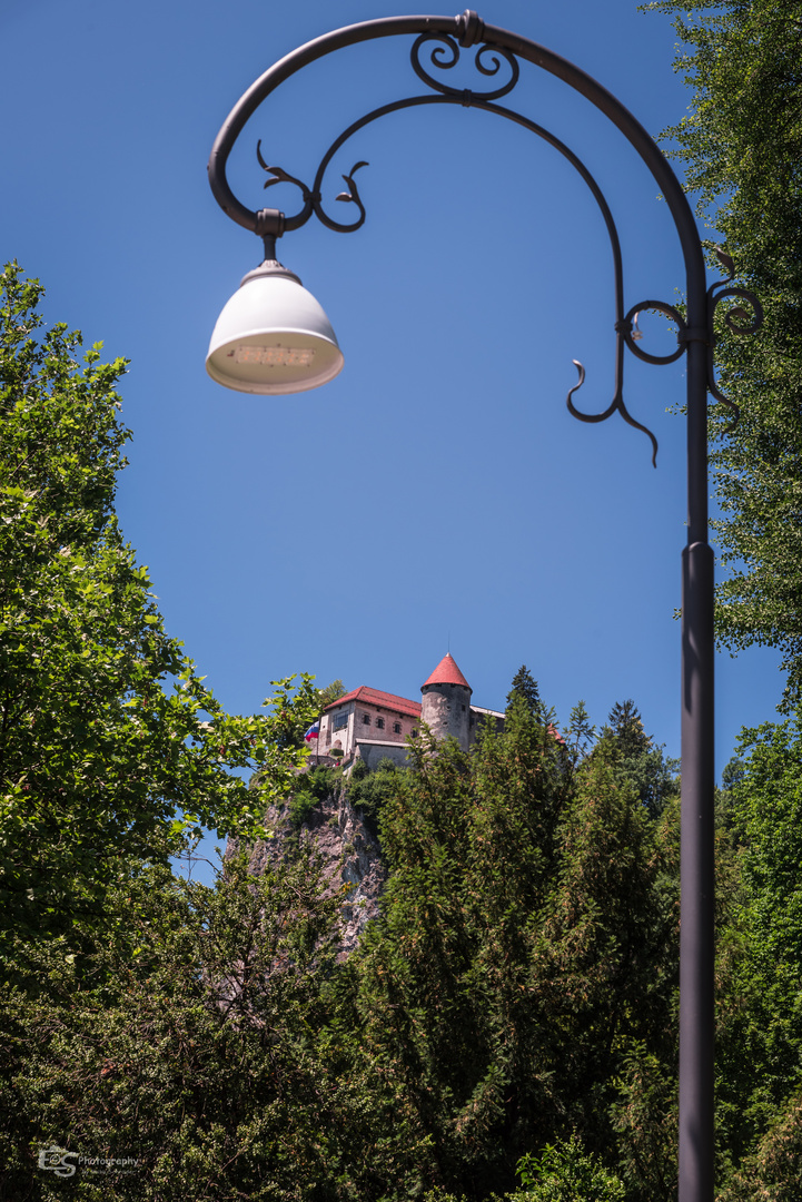 Burg von Bled 