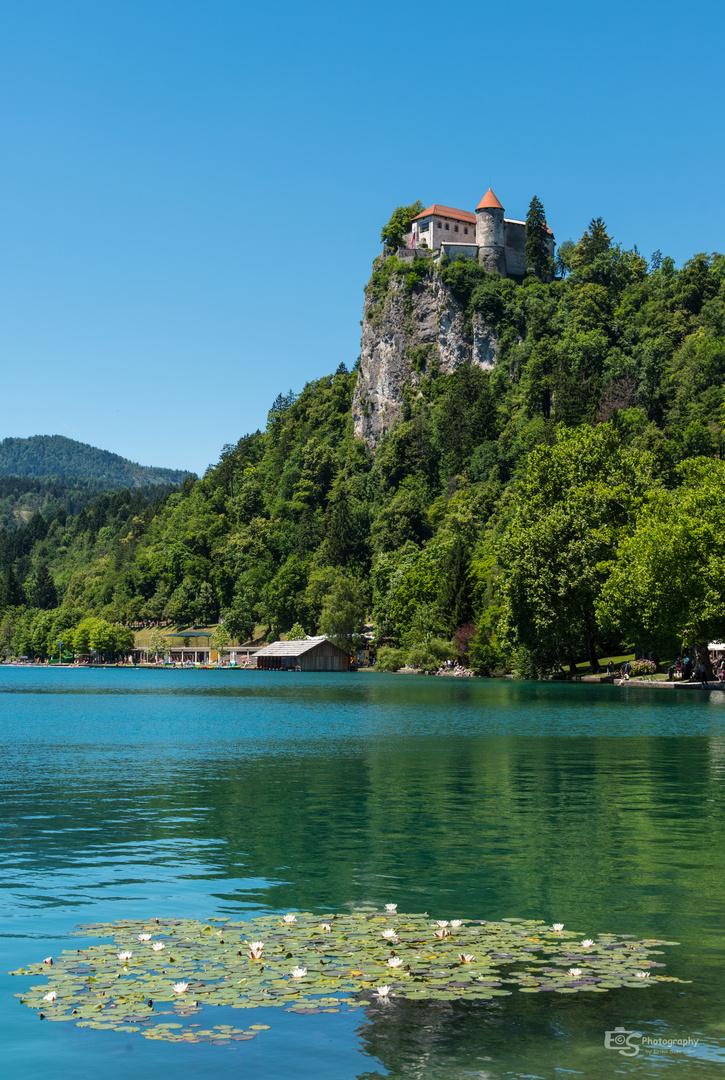 Burg von Bled