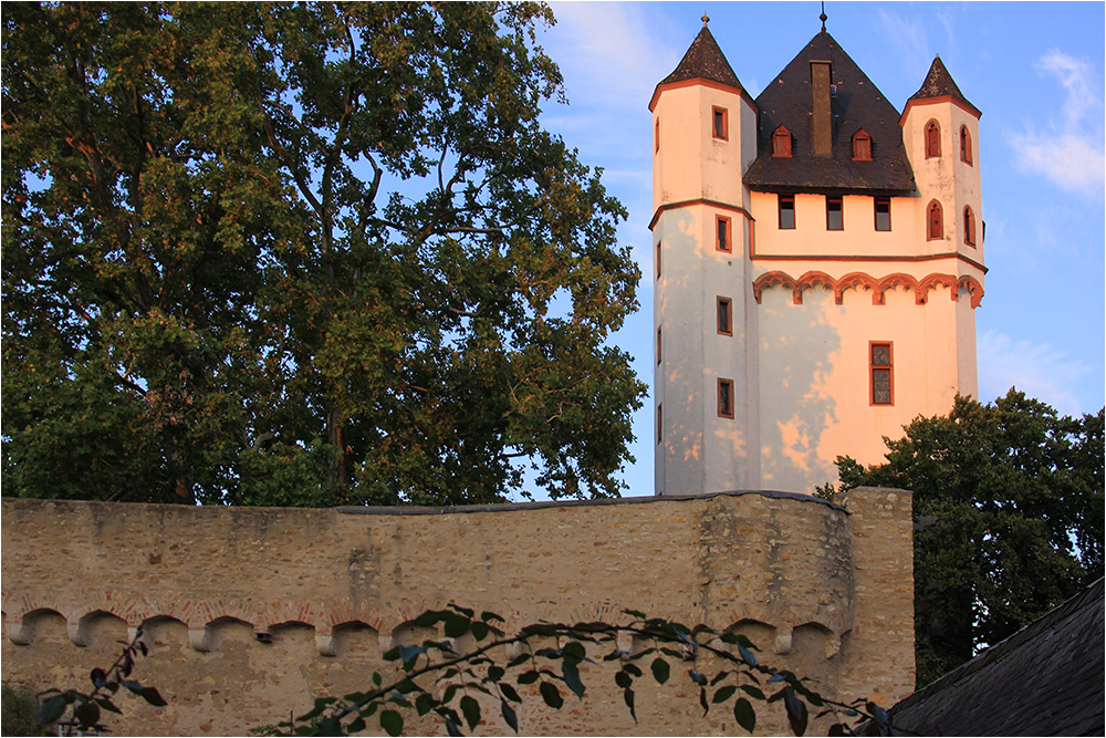 Burg von Eltville