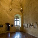 Burg von Tarascon