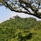 Burg Waldeck am Edersee