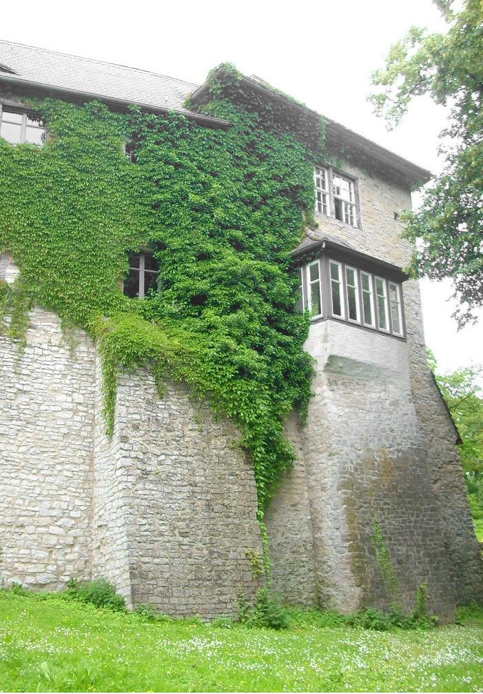 Burg Wanzleben