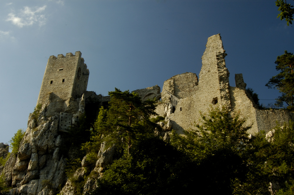 ... Burg Weissenstein ...