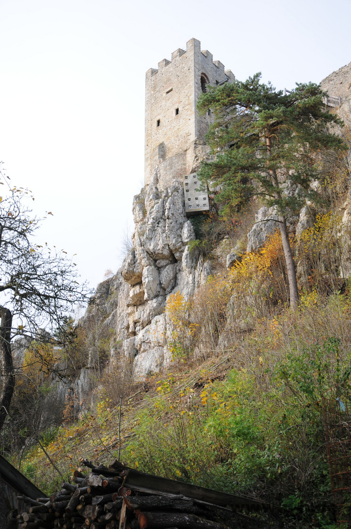 Burg Weissenstein Südansicht