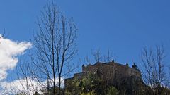 Burg Werfen hinter Äste