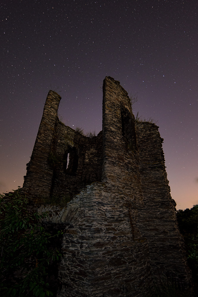 Burg Wernerseck 2