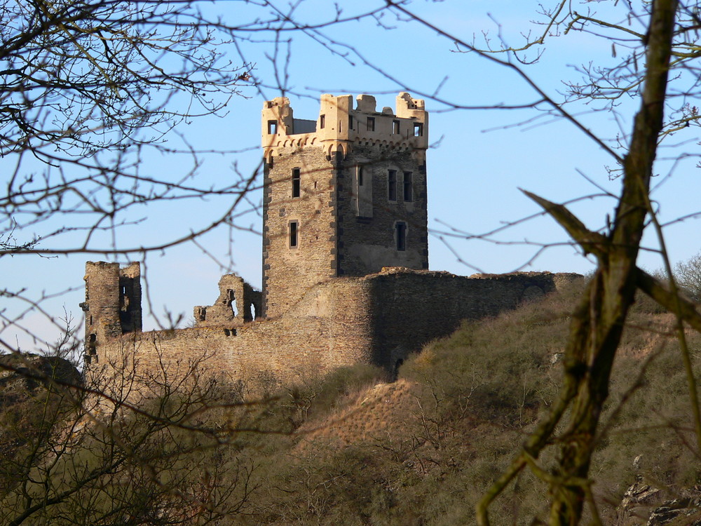 Burg Wernerseck bei Plaidt