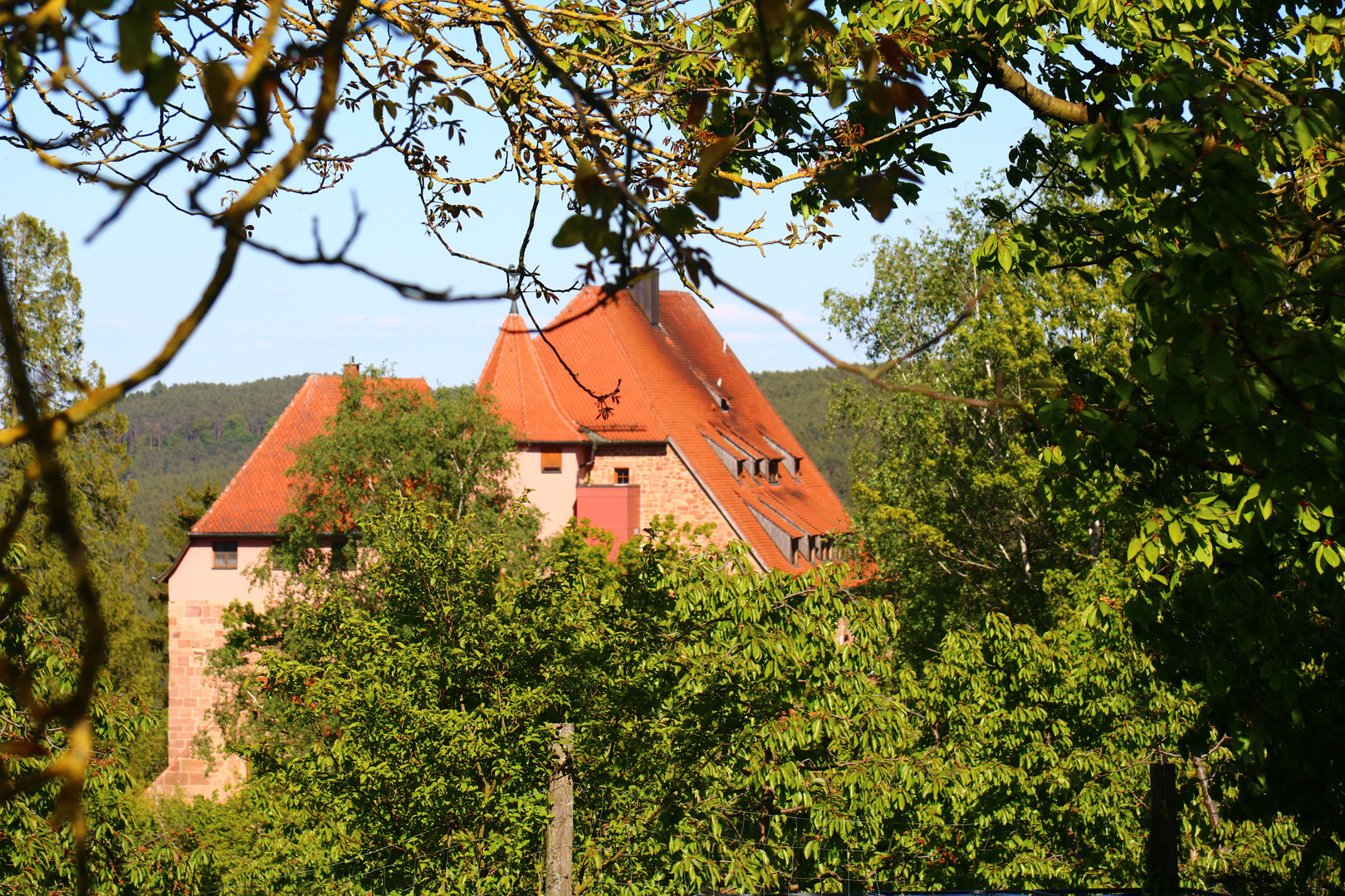 Burg Wernfels im Frühling