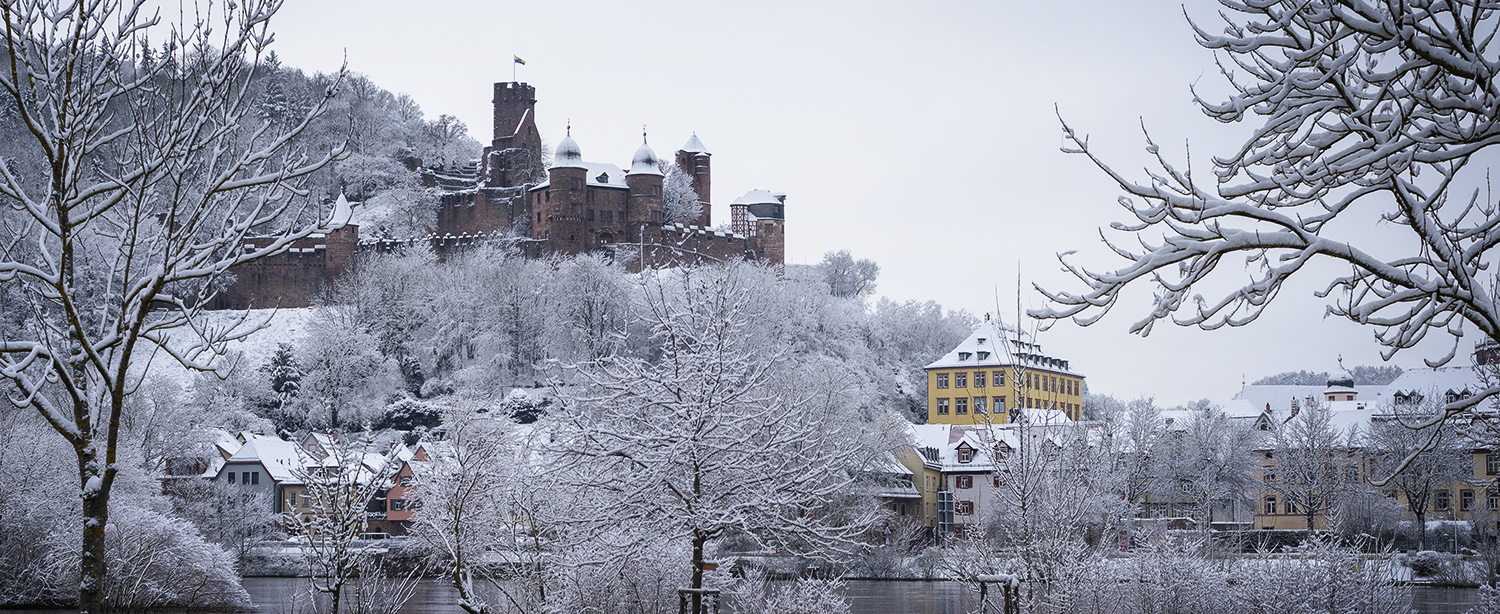 Burg Wertheim