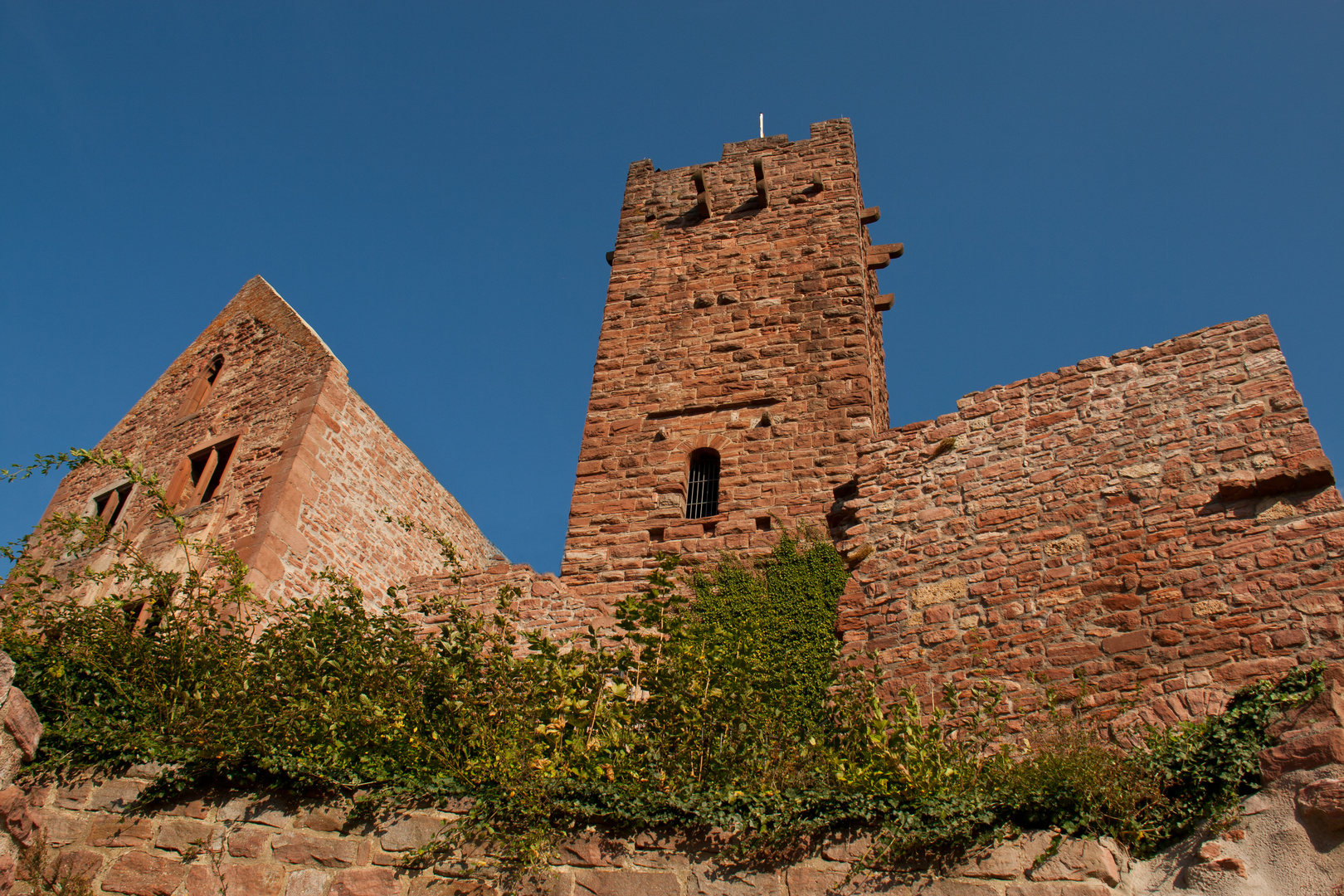 Burg Wertheim#1