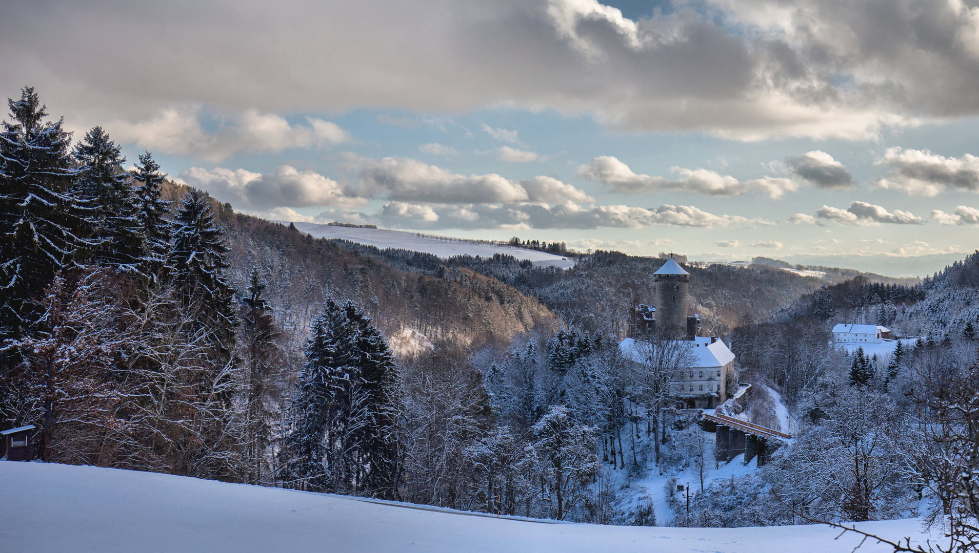 Burg Wildberg