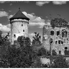 Burg Wildberg ...