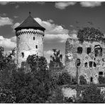 Burg Wildberg ...