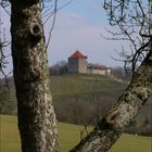 Burg Wildeck