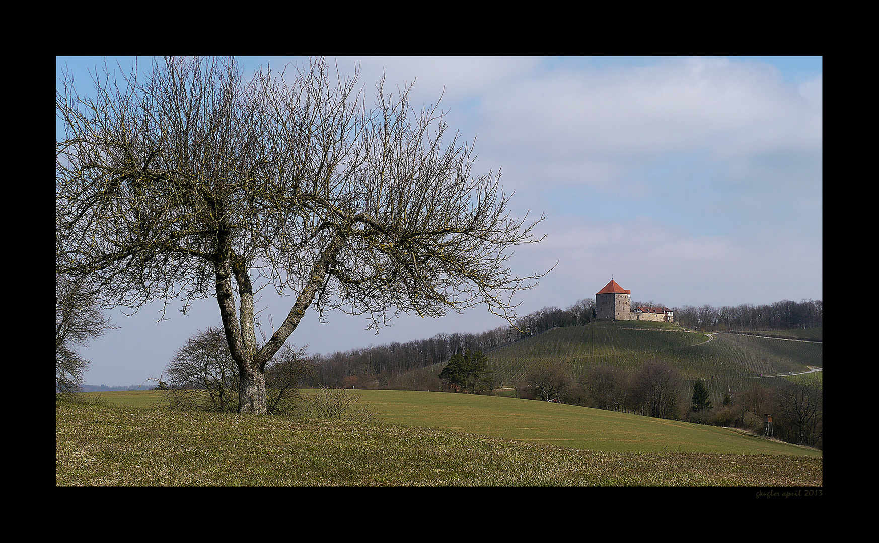 Burg Wildeck