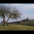 Burg Wildeck