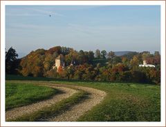 burg wildenstein