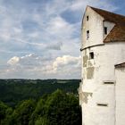 Burg Wildenstein. Der Turm