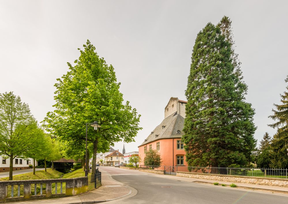 Burg Windeck-Heidesheim 26