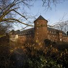 Burg Winnenthal 2