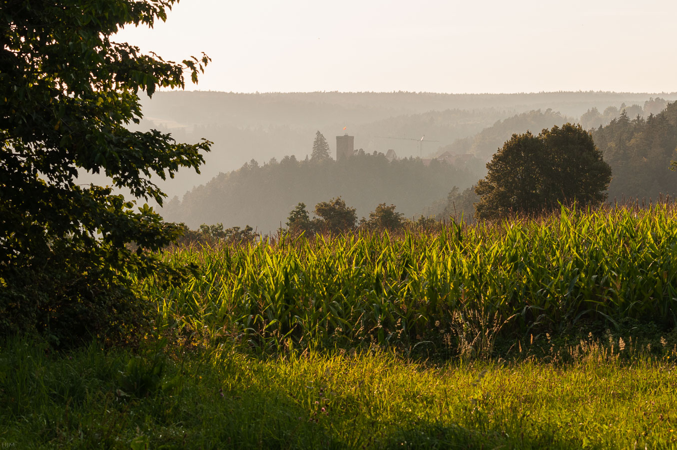 Burg Zavelstein im Dunst