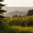 Burg Zavelstein im Dunst