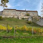 Burg zu Burghausen im Herbst