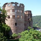 Burg zu Heidelberg