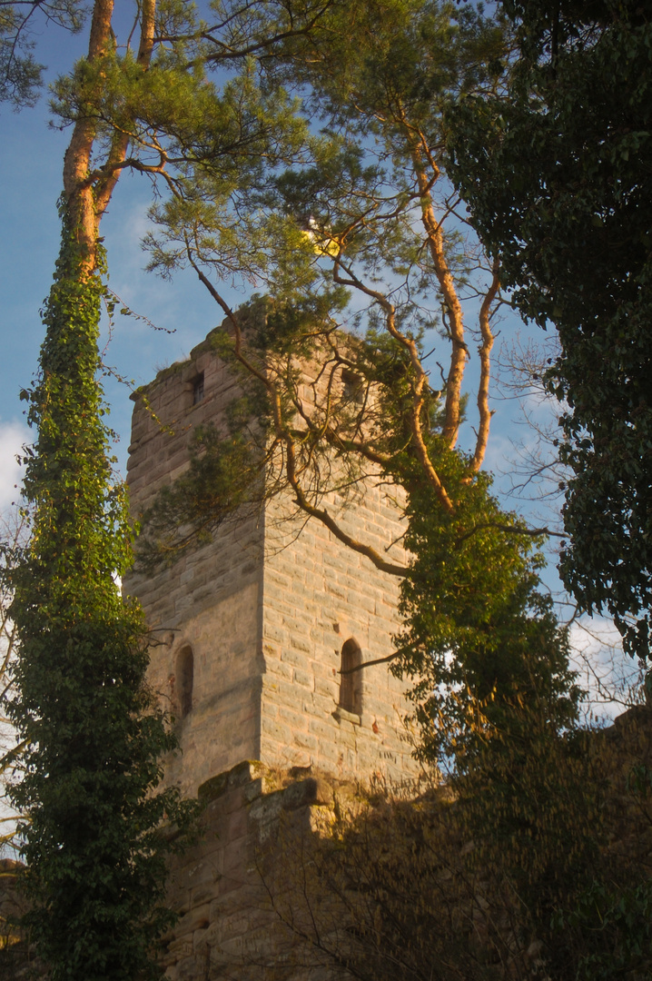 Burg zu Hilpoltstein